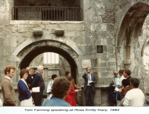 Ross Errilly friary 1984